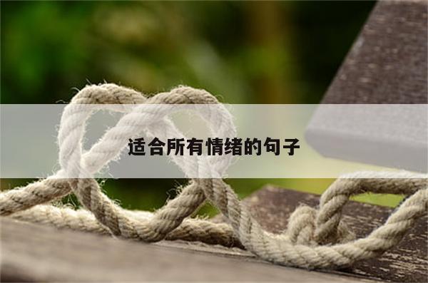 适合所有情绪的句子