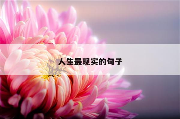 人生最现实的句子