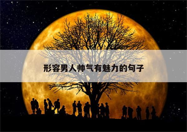 形容男人帅气有魅力的句子