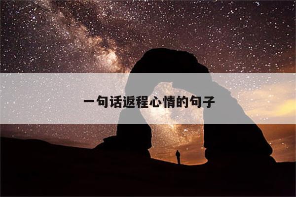 一句话返程心情的句子