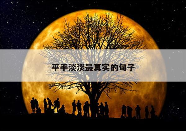 平平淡淡最真实的句子