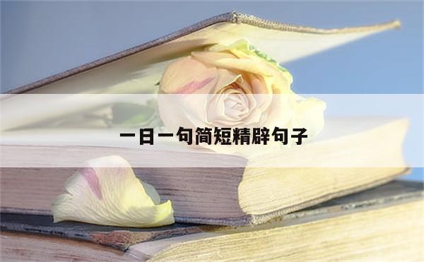 一日一句简短精辟句子