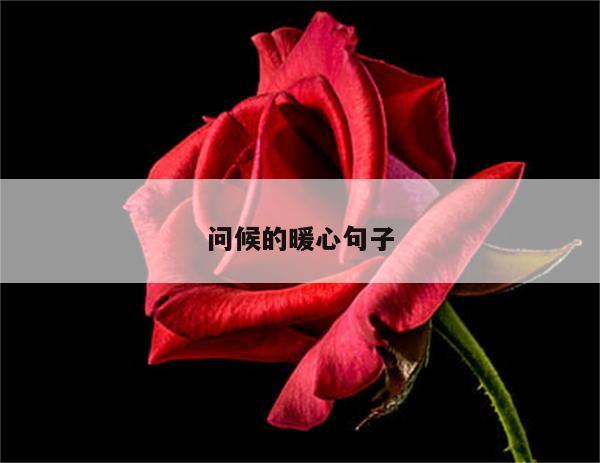 问候的暖心句子