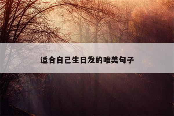适合自己生日发的唯美句子