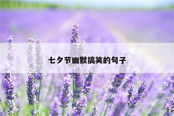 七夕节幽默搞笑的句子
