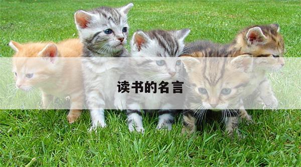 读书的名言