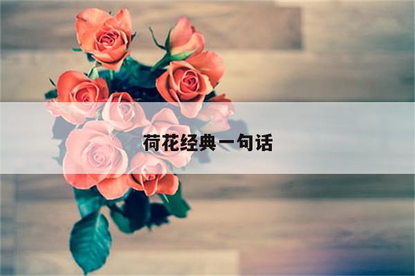 荷花经典一句话