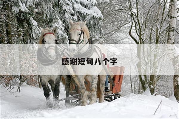 感谢短句八个字