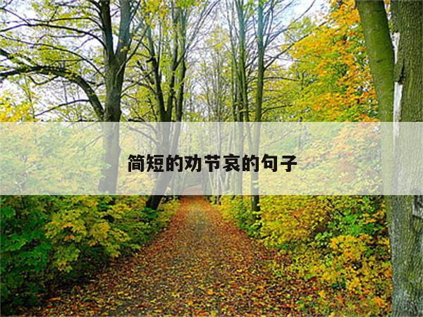简短的劝节哀的句子