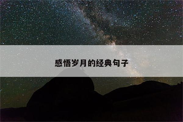 感悟岁月的经典句子