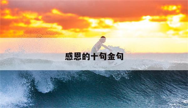 感恩的十句金句