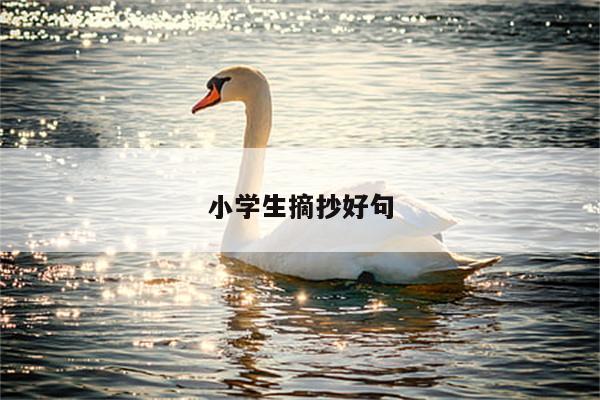小学生摘抄好句