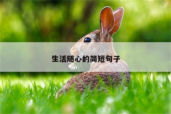 生活随心的简短句子