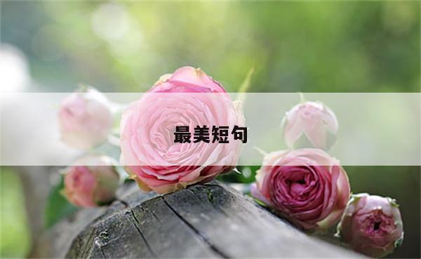 最美短句