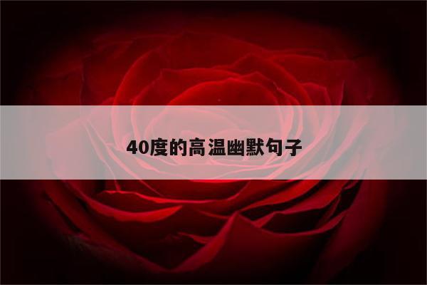 40度的高温幽默句子