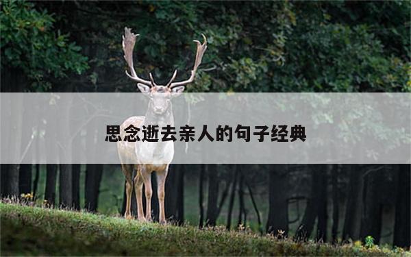 思念逝去亲人的句子经典
