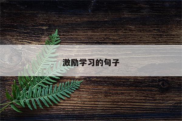 激励学习的句子