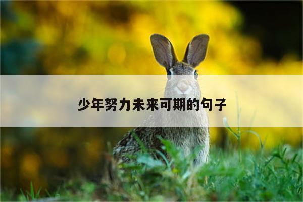 少年努力未来可期的句子