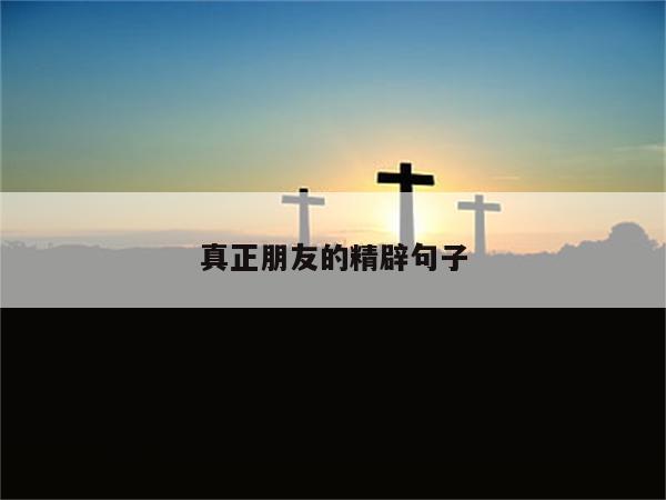 真正朋友的精辟句子