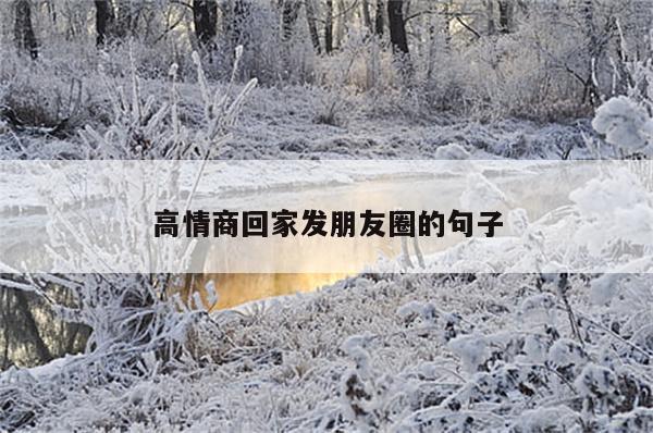 高情商回家发朋友圈的句子