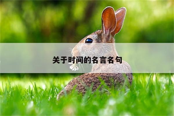 关于时间的名言名句