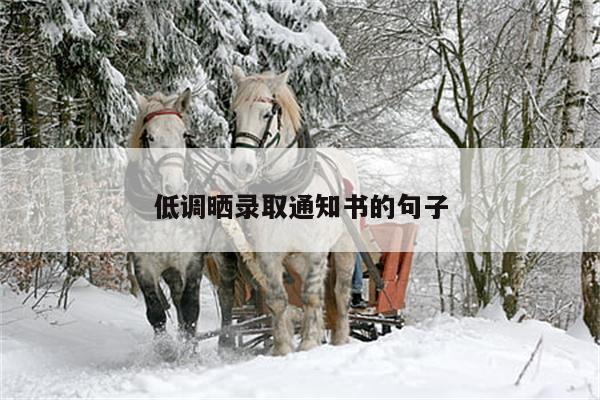 低调晒录取通知书的句子