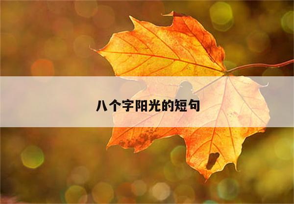 八个字阳光的短句