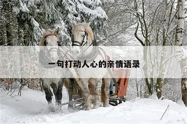 一句打动人心的亲情语录