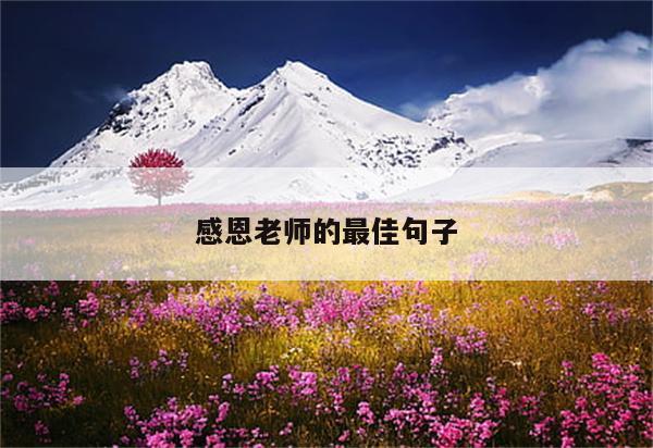 感恩老师的最佳句子