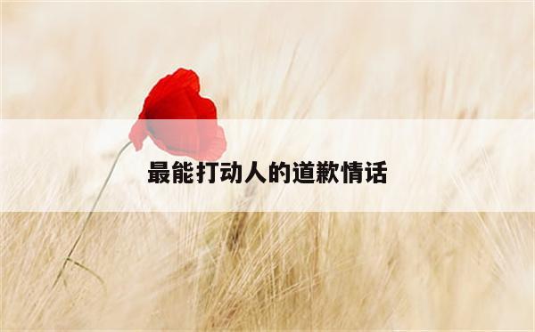 最能打动人的道歉情话
