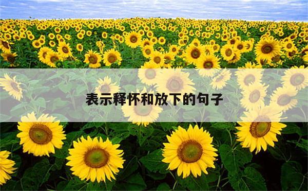 表示释怀和放下的句子