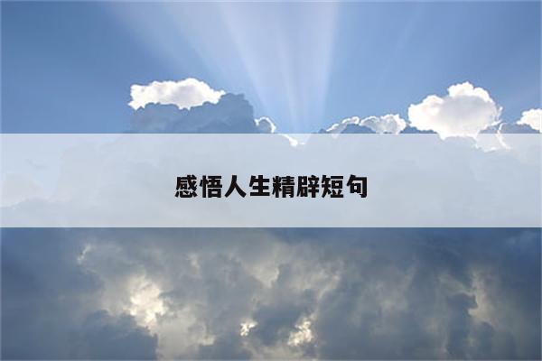 感悟人生精辟短句
