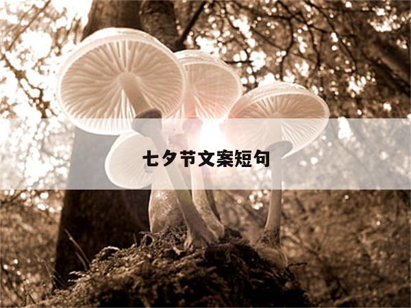 七夕节文案短句