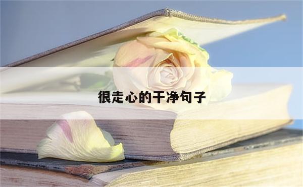 很走心的干净句子