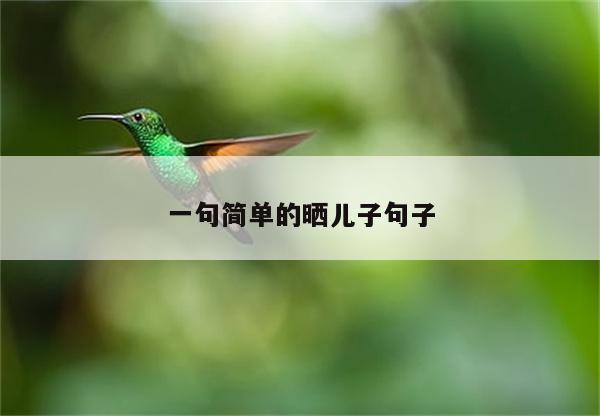 一句简单的晒儿子句子