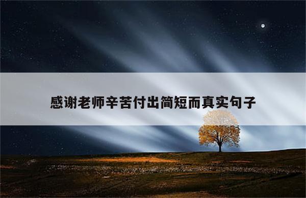 感谢老师辛苦付出简短而真实句子