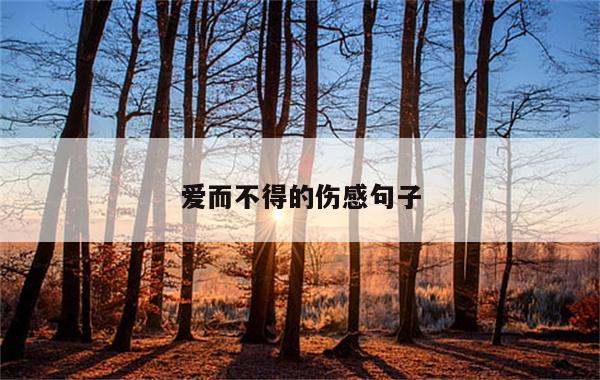 爱而不得的伤感句子