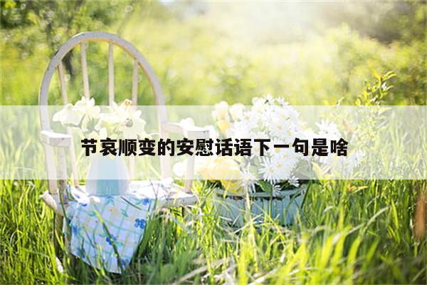 节哀顺变的安慰话语下一句是啥