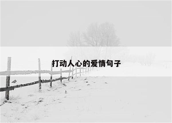 打动人心的爱情句子
