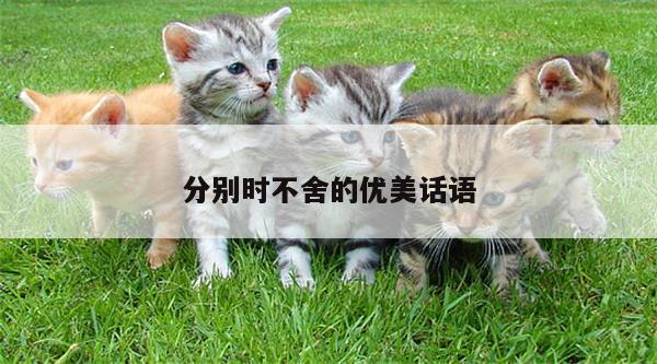 分别时不舍的优美话语