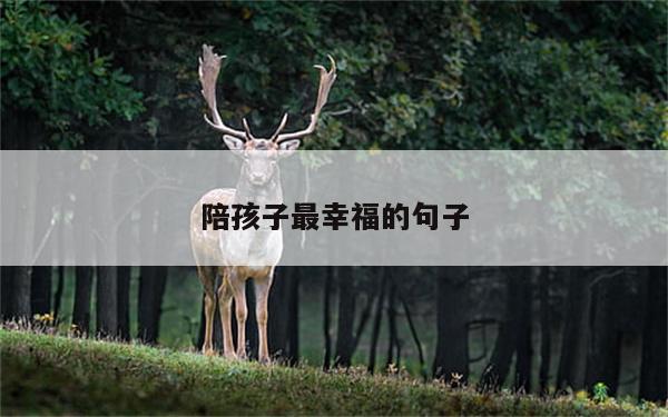 陪孩子最幸福的句子