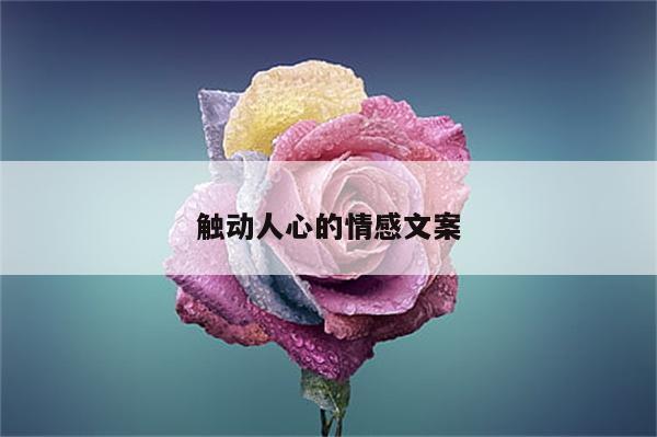 触动人心的情感文案