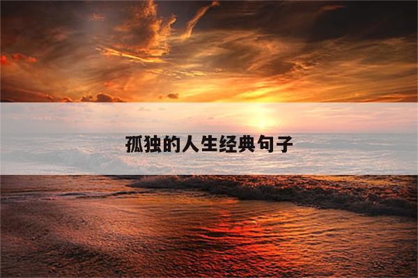 孤独的人生经典句子