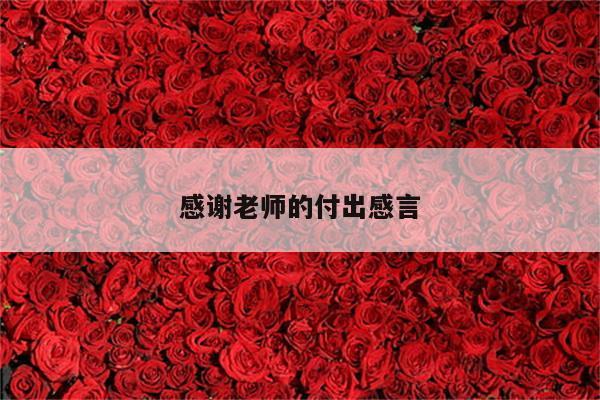 感谢老师的付出感言