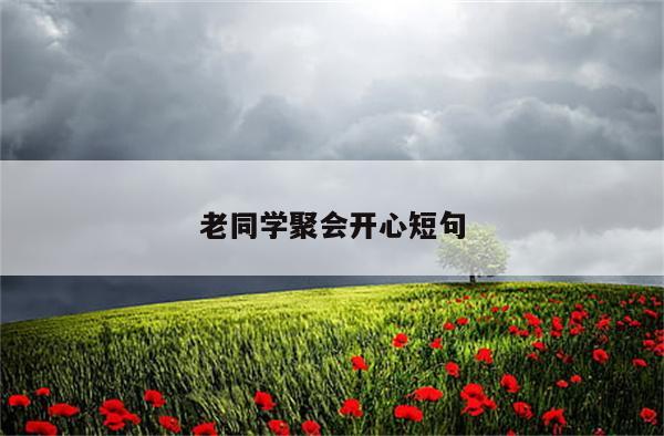 老同学聚会开心短句