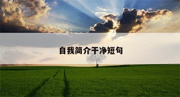 自我简介干净短句