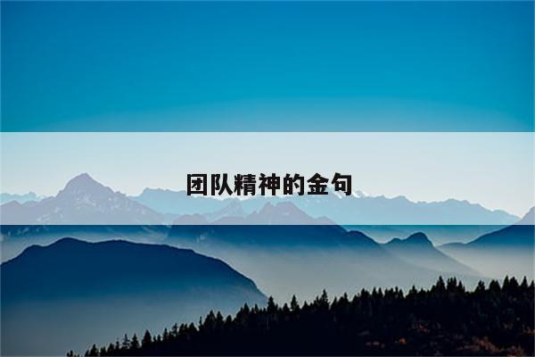 团队精神的金句