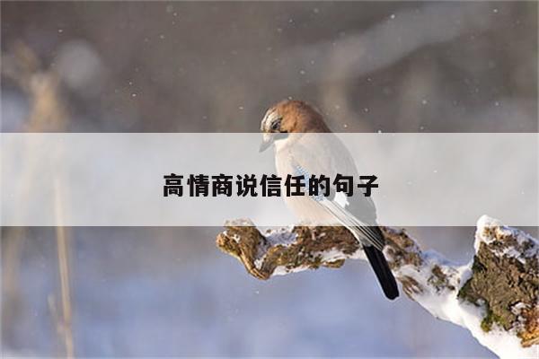 高情商说信任的句子