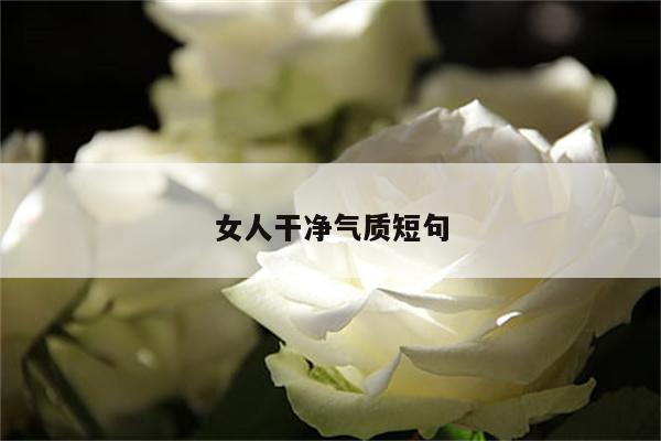 女人干净气质短句