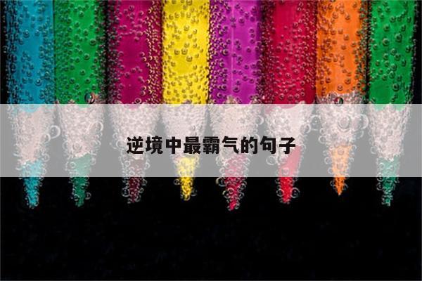 逆境中最霸气的句子